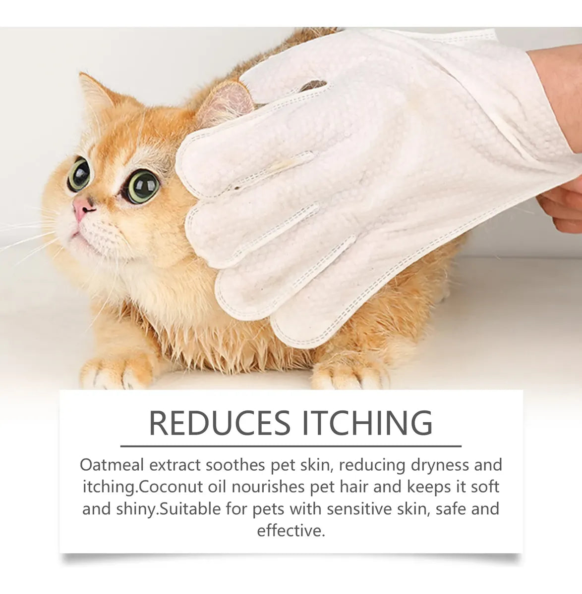 Guantes limpieza para mascotas - additional image 5